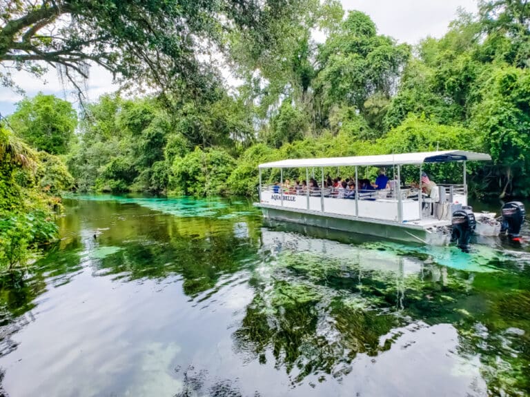 Glass-bottom boat tours at Silver Springs.